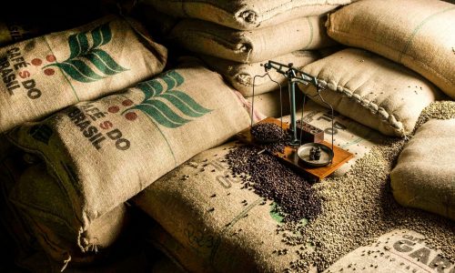 Café Brasileiro: A História que Ninguém Te Contou