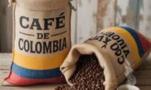 A chegada do café na Colômbia, seu desenvolvimento nas regiões montanhosas, o papel da Federación Nacional de Cafeteros e a criação da marca Juan Valdez como símbolo global de qualidade.