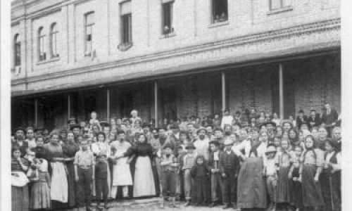 imigrantes no café, chegadas dos imigrantes para trabalho nas fazendas