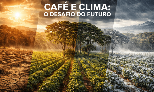 Mudanças Climáticas e o Futuro do Café, é um chamado à consciência e à inovação.