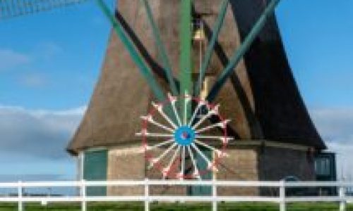 Na terra das bicicletas, dos moinhos e das tulipas, o café ocupa um lugar especial na rotina dos holandeses.