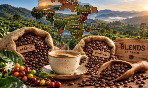 Blends de café no Brasil com grãos Arábica e Conilon de diferentes regiões produtoras